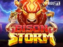 Bison Storm