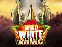 Wild White Rhino